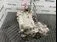 MOTOR RENAULT ZOE ZOE 2012-2019 oe 290127953R, vedere laterala