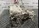 MOTOR RENAULT ZOE ZOE 2012-2019 oe 290127953R, vedere laterala