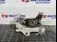 TAMPON CUTIE VITEZE RENAULT ZOE ZOE 2012-2019 oe 112221884R, vedere laterala