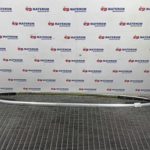 BARE PAVILION