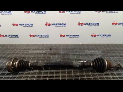 PLANETARA FATA DREAPTA