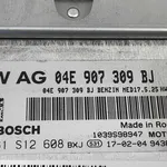 CALCULATOR MOTOR SEAT ATECA 1.4 2016-2020 oe-04E907309BJ, vedere laterala