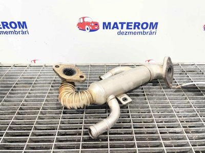 RACITOR GAZE CARTER