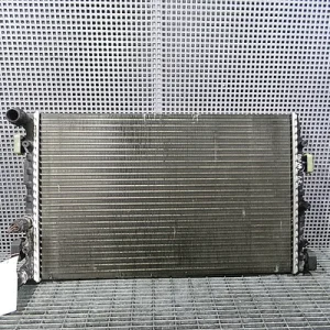 RADIATOR MOTOR
