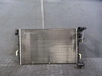 RADIATOR MOTOR