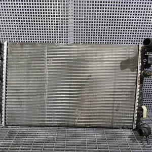 RADIATOR MOTOR
