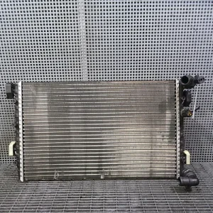 RADIATOR MOTOR