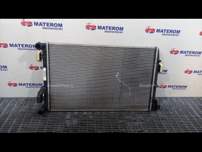 RADIATOR MOTOR