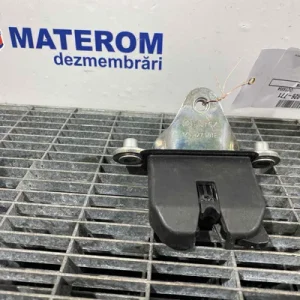 INCUIETOARE HAION