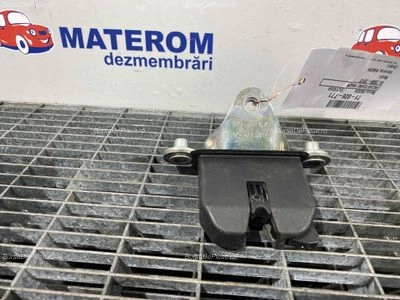 INCUIETOARE HAION