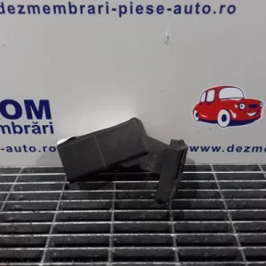 RELEU BUJII