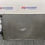 RADIATOR MOTOR