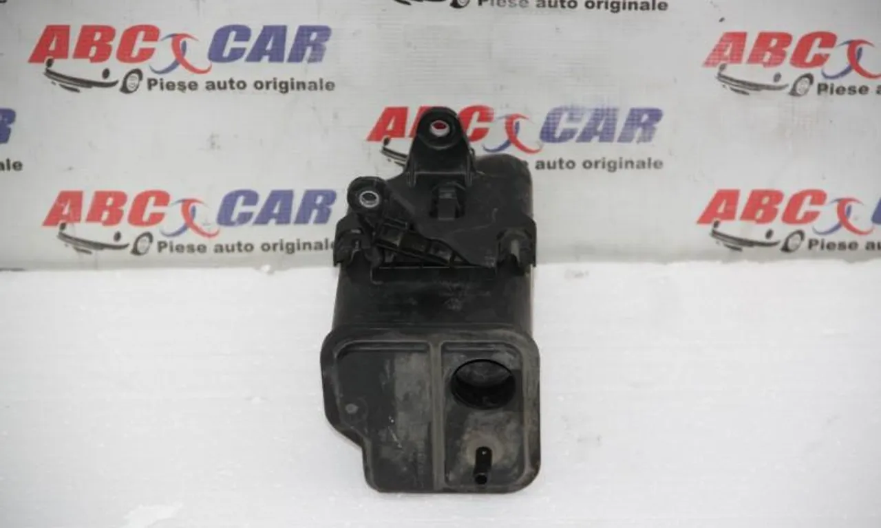 Canistra carbon SKODA OCTAVIA II 2004-2013