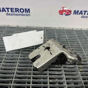 INCUIETOARE HAION