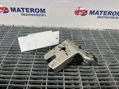 INCUIETOARE HAION