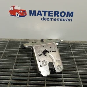 INCUIETOARE HAION