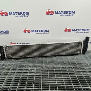 RADIATOR MOTOR
