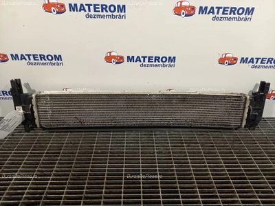 RADIATOR MOTOR