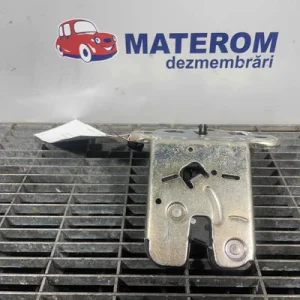 INCUIETOARE HAION
