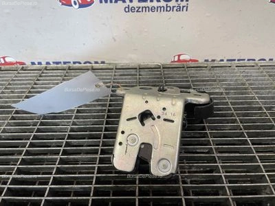 INCUIETOARE HAION