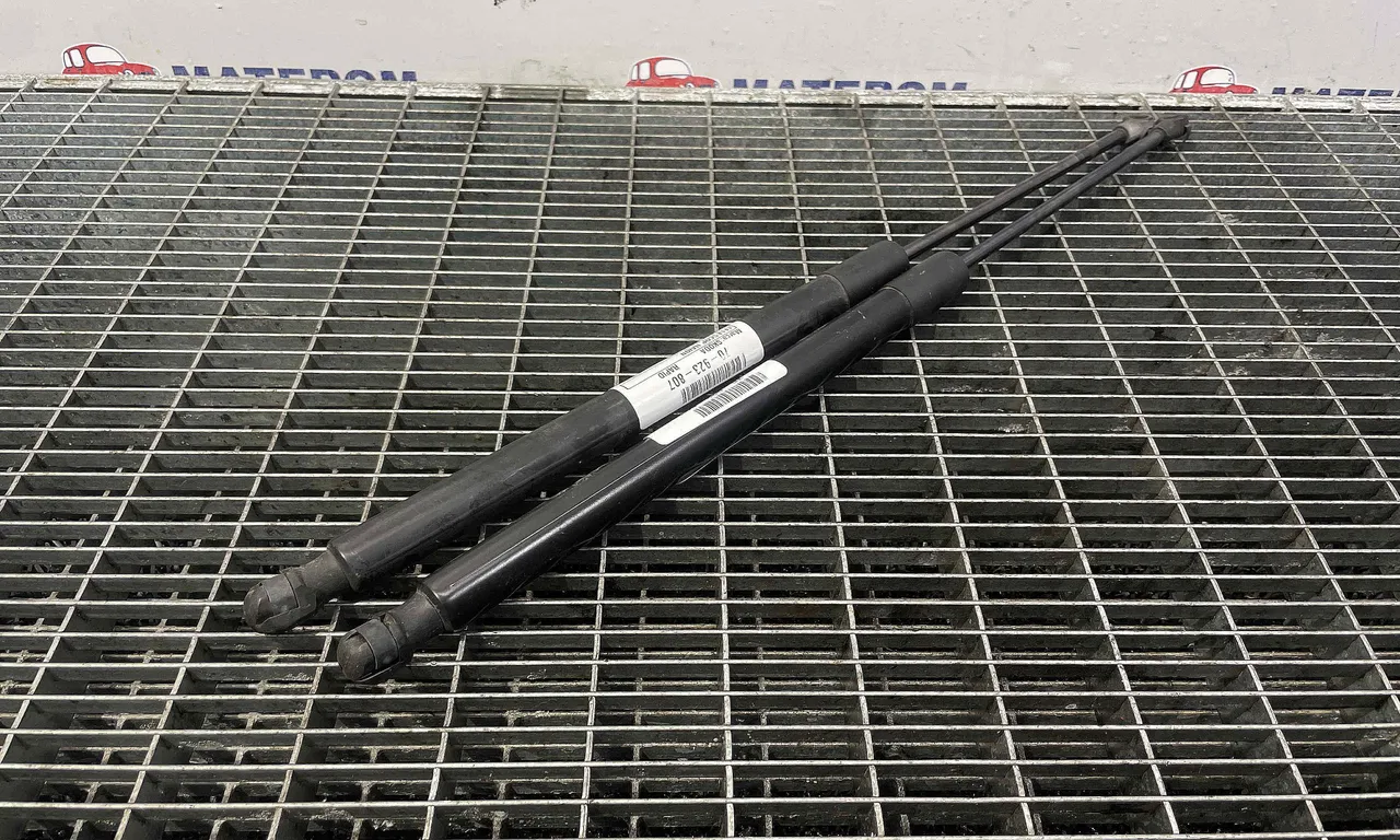 TELESCOP HAION SKODA RAPID 2011-2017