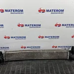 RADIATOR MOTOR
