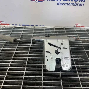 INCUIETOARE HAION