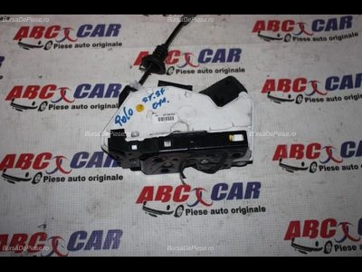 Broasca usa stanga spate