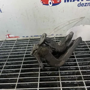 BALAMA USA SPATE