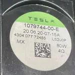 DIFUZOR AUDIO TESLA MODEL 3 EV 2017-2023 oe-107974400E, vedere laterala