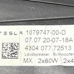 SUBWOOFER TESLA MODEL 3 EV 2017-2023 oe-107974700D, vedere laterala