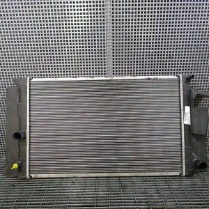 RADIATOR MOTOR