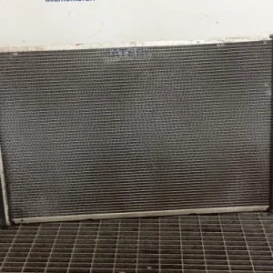 RADIATOR MOTOR