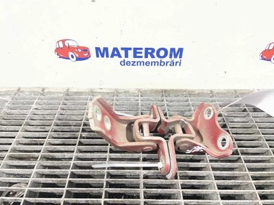 BALAMA USA FATA