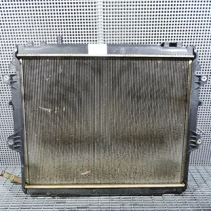 RADIATOR MOTOR