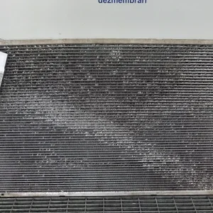 RADIATOR MOTOR