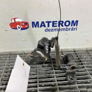 BALAMA USA SPATE