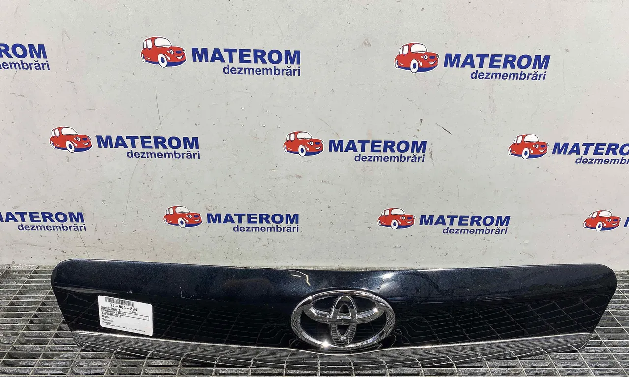 ORNAMENT HAION TOYOTA RAV 4 III 2005-2014