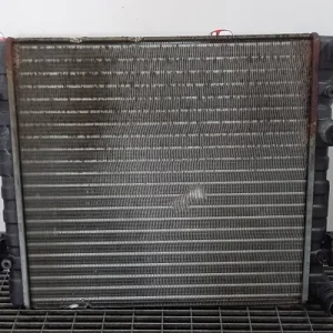 RADIATOR MOTOR