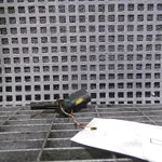 SENZOR ABS VOLKSWAGEN GOLF V 1.9 TDI 2003-2010 oe-10071152723, vedere laterala