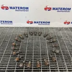 PREZON ROATA