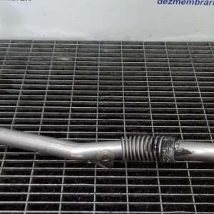 TEAVA EGR