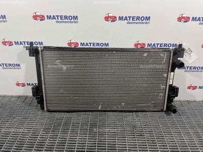 RADIATOR MOTOR