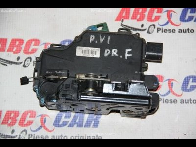 Broasca usa dreapta spate