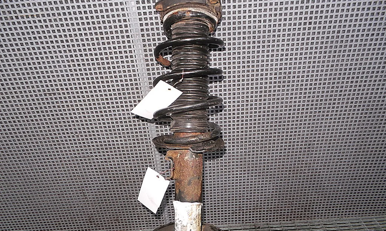 TELESCOP FATA STANGA VOLKSWAGEN PASSAT B6 2005-2011