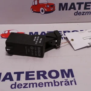 RELEU BUJII