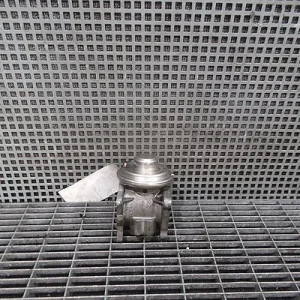 SUPAPA EGR