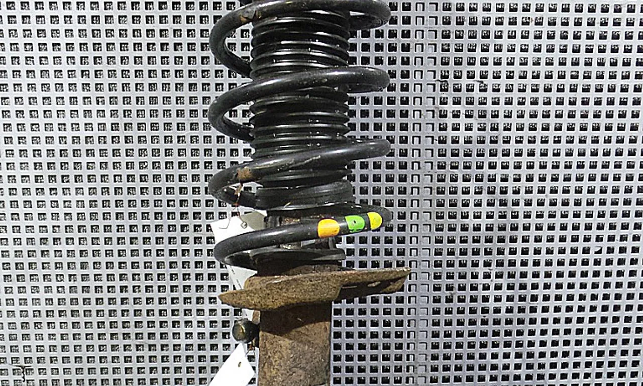 TELESCOP FATA DREAPTA VOLKSWAGEN PASSAT B6 Variant 2005-2011