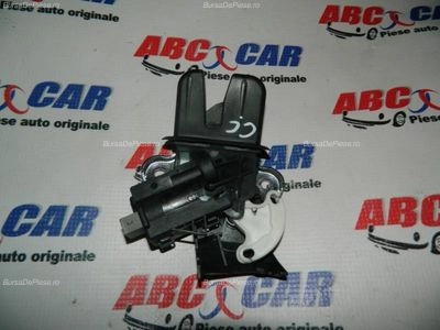 Broasca capota spate