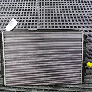 RADIATOR MOTOR